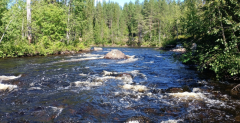 Водный поход 2 КС река Калга, Республика Карелия